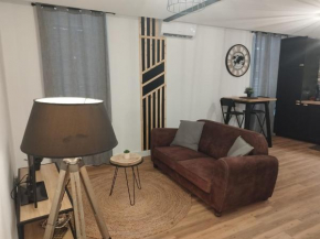 Cosy studio rénové style industriel